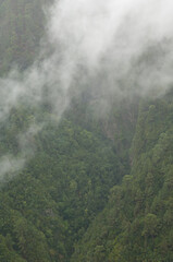 Ravine and slopes in Las Nieves Natural Park.