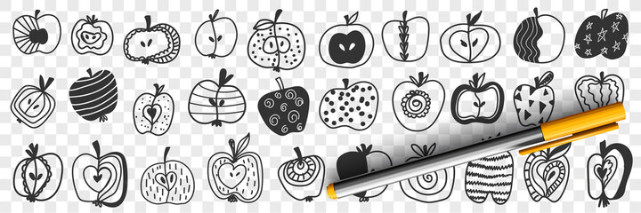 Apple fruits with patterns doodle set. Collection of hand drawn apple edible fruits cut in halves with various patterns dots curves lines stars isolated on transparent background