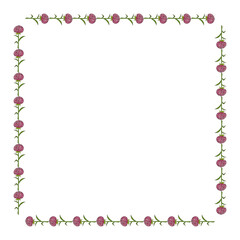 Square frame with pink aster flowers on white background. Doodle style. Vector image.