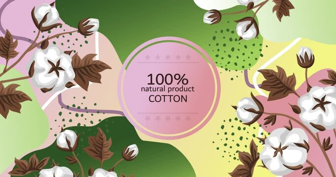 Trendy and creative video banner template with hand drawn cotton branches. Botanical composition. Advertising for 100% natural products