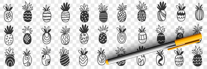 Tropical pineapple fruits doodle set. Collection of hand drawn fresh ripe exotic fries pineapples tasty delicious sweet for diet clean eating weight loss food isolated on transparent background