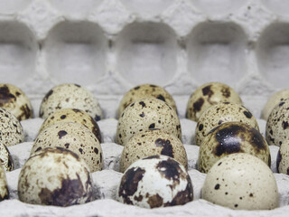 Obraz premium Quail egg. Proper nutrition. Diet food.