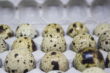 Obraz premium Quail egg. Proper nutrition. Diet food.