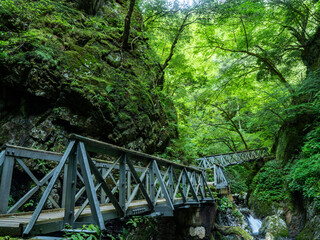 Fototapeta na wymiar 広島県瀬戸の滝途中の三連橋