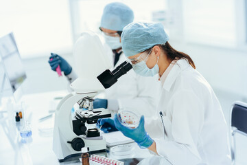 Naklejka na ściany i meble female scientist with a Petri dish sitting at a laboratory table .