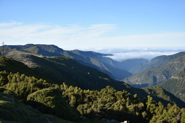 Fototapeta premium Lewady madera Portugalia 25 fontes