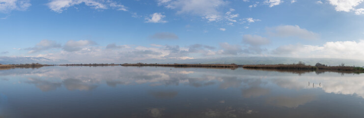 Early  morning at a reservoir in the nature reserve at Lake Hula in northern Israel.