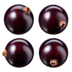 Black currant isolate. Currant black berries on white background. Currant with clipping path. Top view. Side view. Set with full depth of field.