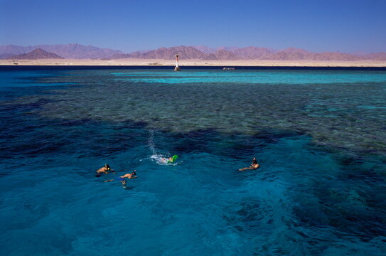 Nabaq National Park, Sharm El Sheikh (Sharm el-Sheikh), Egypt