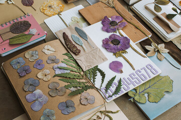 Old dry up flowers. Open book with herbarium pages. Vintage.