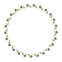 Round frame with violet aster buds on white background. Doodle style. Vector image.