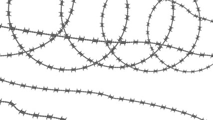 barbed wire isolated on white background.