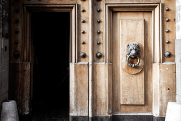 Wooden door in the old town of Geneva with lion’s head clapper.