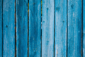 Fototapeta premium Weathered blue wooden background texture. Shabby blue painted wood.