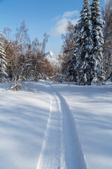 Winter in the mountains