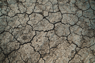 dry land with many large cracks. dried soil.