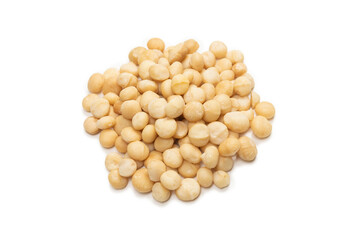 Macadamia nuts isolated on white background.