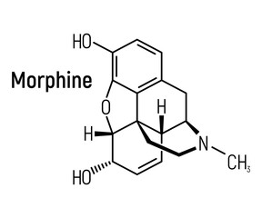 Fototapeta na wymiar Morphine concept chemical formula icon label, text font vector illustration, isolated on white. Periodic element table, addictive drug.