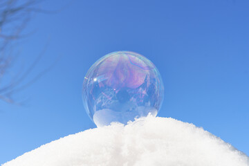 frozen soap bubble