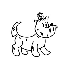 West Highland White Terrier with a bow. Cute dog with new haircut. Doodle icon. Vector illustration of a dog. Editable element.
