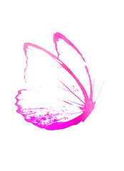 Color watercolor abstract butterfly as imprint, isolated on white background