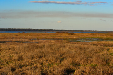 On Bolen Bluff Trail, Paynes Prairie Preserve, FL 