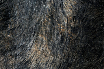 Wood texture closeup for background.