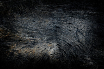 Wood texture closeup for background.