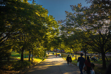 올림픽공원 가을 한적한 오후 나들이