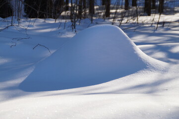 Obraz premium winter landscape with snow