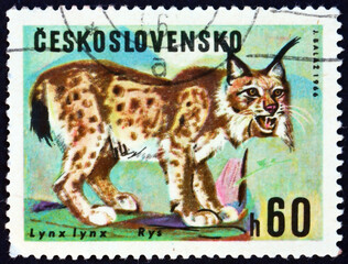 Postage stamp Czechoslovakia 1966 Eurasian lynx, wild cat
