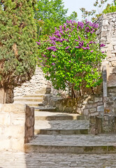 Panele Szklane Podświetlane  The blooming lilac in stone street of Les Baux-de-Provence, France