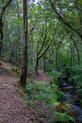 Fototapeta na wymiar Trail PR-G 195, Gandaras river, Vilasantar, Province of A Coruña, Galicia, Spain