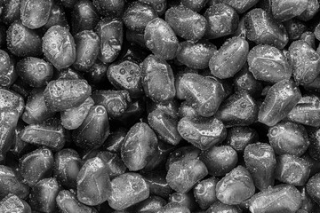 Fresh pomegranate grains with water drops. Black and white background