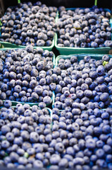 buckets full of blueberry fruit