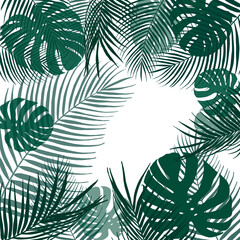 Tropical green leaves glitter frame. Hand drawn green tropical leaves wallpaper, background, isolated on white background.