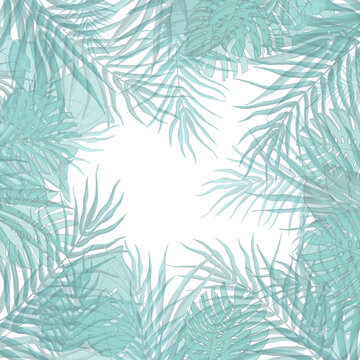Tropical light green leaves frame. Hand drawn green tropical leaves wallpaper, background, isolated on white background. © Chris