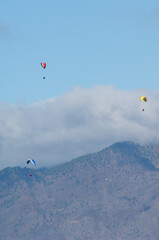 Fototapeta na wymiar Paragliders over the Cumbre Vieja Natural Park.