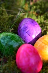 Close up of colorful eastereggs in the mossy grass