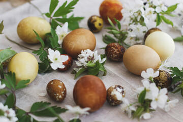 Modern brown easter eggs with spring flowers on rustic linen cloth. Happy Easter! Aesthetic