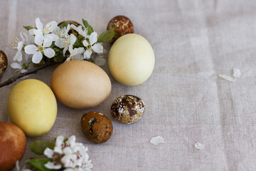 Obraz na płótnie Canvas Modern pastel easter eggs with spring flowers on rustic linen cloth, space for text. Happy Easter!