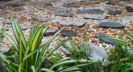 Rock and stone floor in the garden texture background.	
