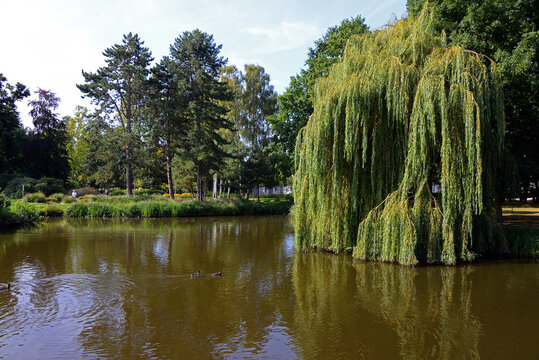 Teich im Kurpark von Scharbeutz