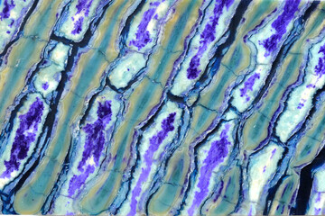 Colorful background with a texture based on a mammoth tooth. Painted with liquid dyes in purple and...