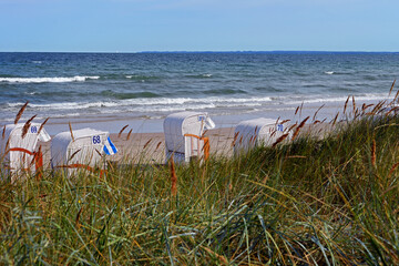 Strandkörbe am Sandstrand von Scharbeutz