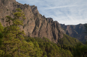 Fototapeta premium Cliffs and forest of Canary Island pine.