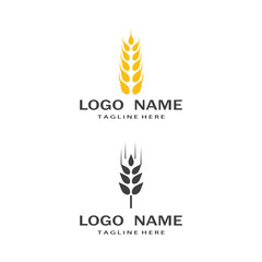 Agriculture wheat vector icon design