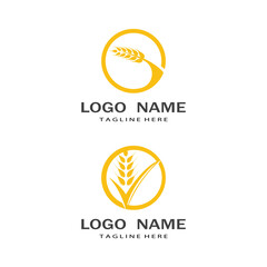 Agriculture wheat vector icon design