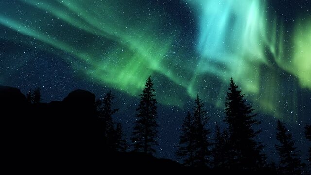 Realistic real time Northern lights Polar Aurora Borealis dancing over trees in a forest. Arctic colour skies in horizon. Cloudless night