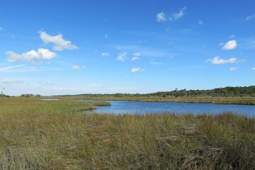 Beautiful view of the rivers and marshes of North Florida nature
